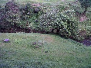 IMG00825-20110606-0659