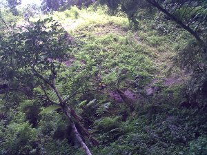 IMG00830-20110606-0758