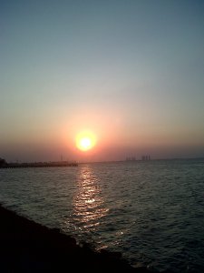 IMG01225-20110816-1735